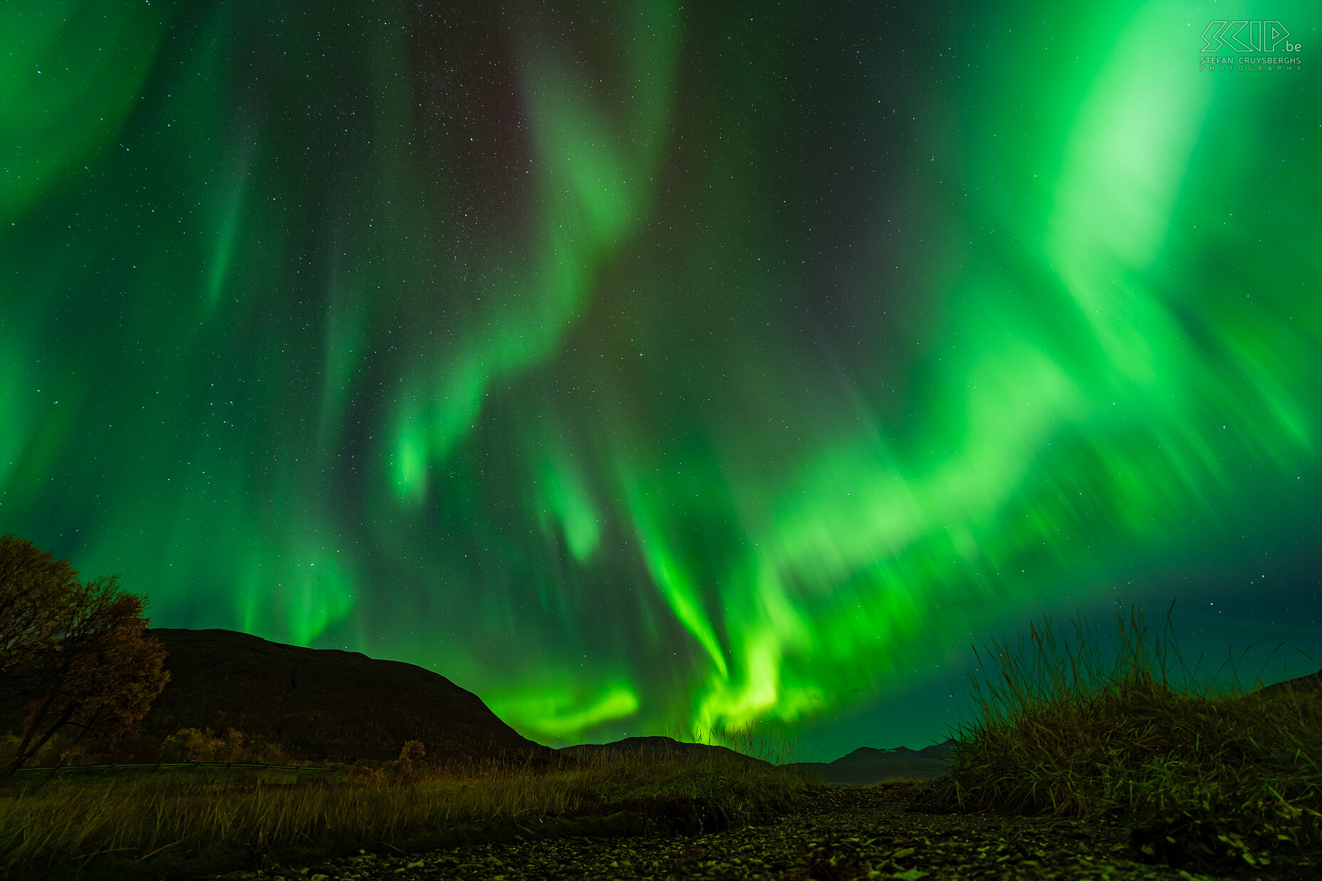 Storsteinnes - Noorderlicht Fantastisch mooi dansend noorderlicht aan de Balfsfjorden in Storsteinnes Stefan Cruysberghs